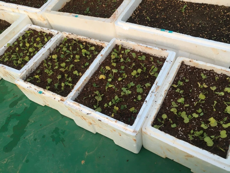 20210414_1073.JPG?type=w1