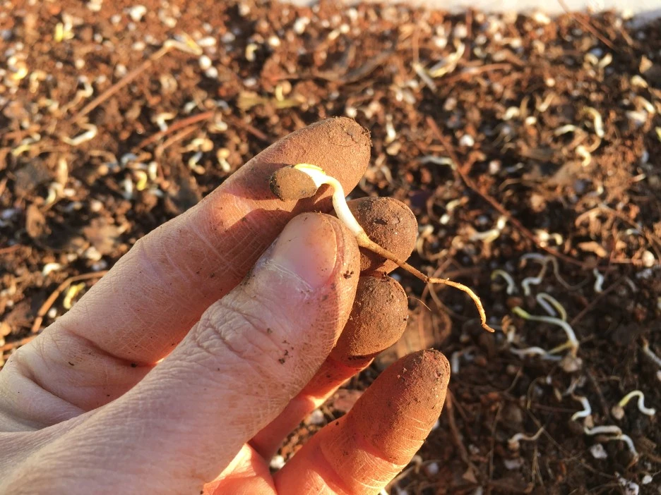 20210414_1066.JPG?type=w1