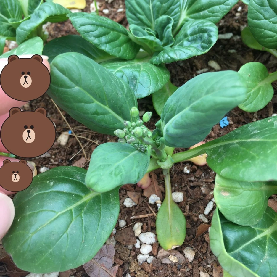 SE-c0f9a3d5-071c-4c67-891c-da32f1c82871.jpg?type=w1