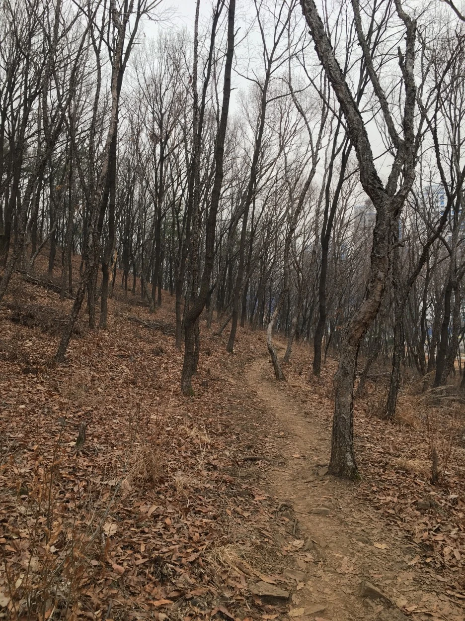 IMG_8997.JPG?type=w1