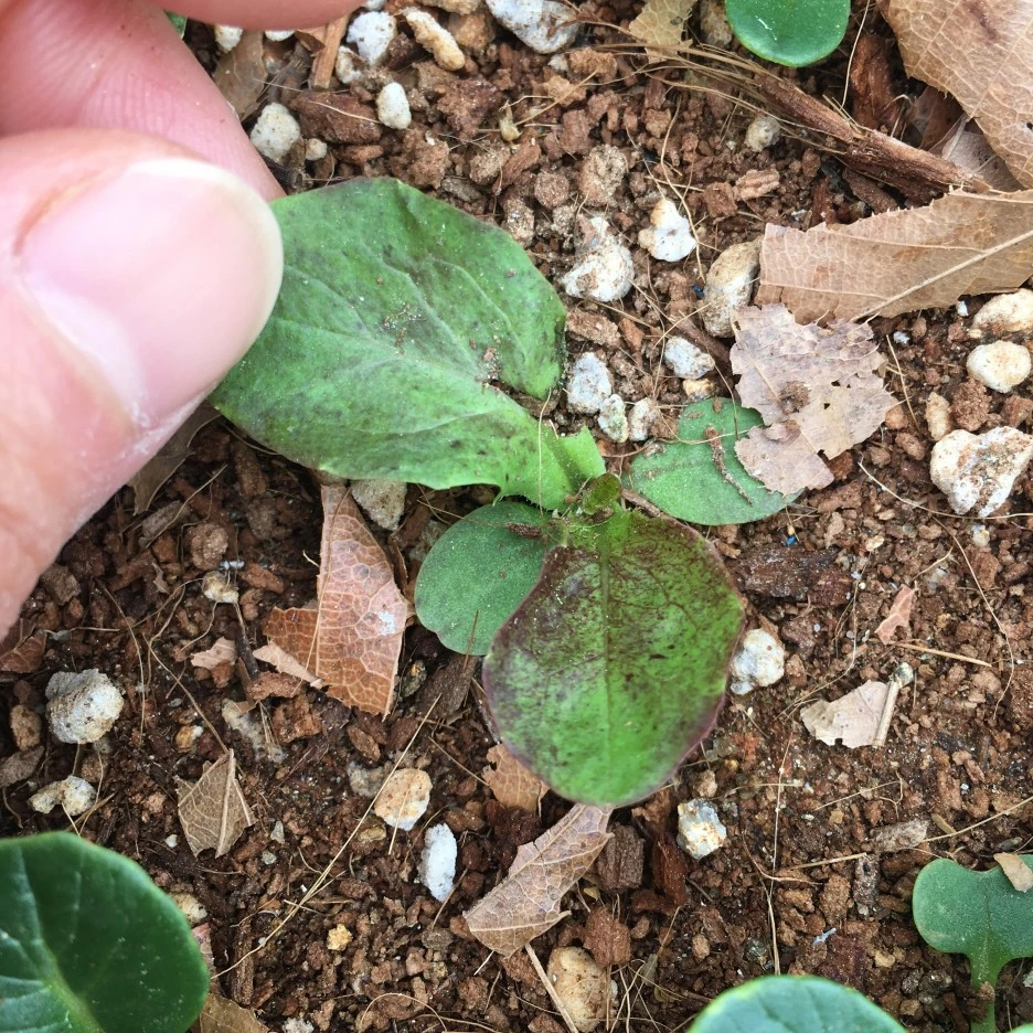 20210427_1102.JPG?type=w1