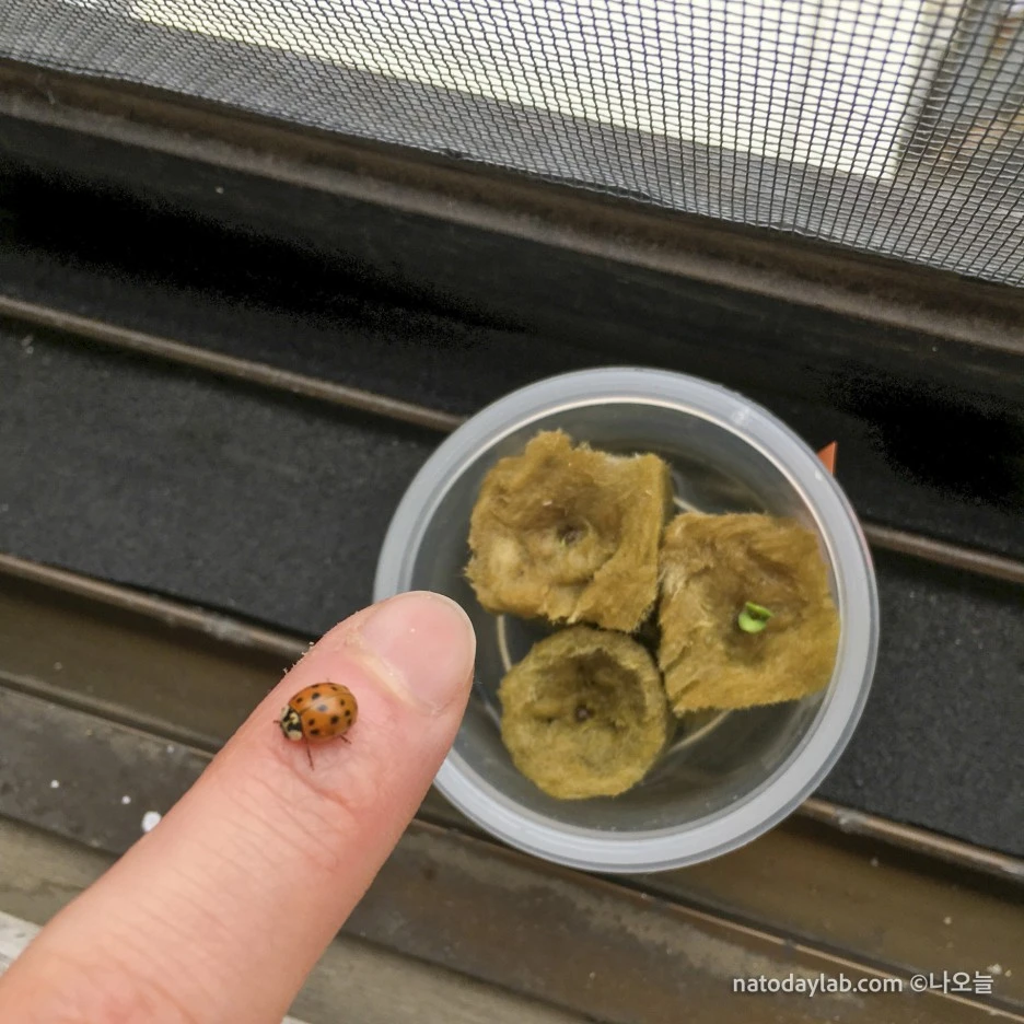 20210301--10.jpg?type=w1