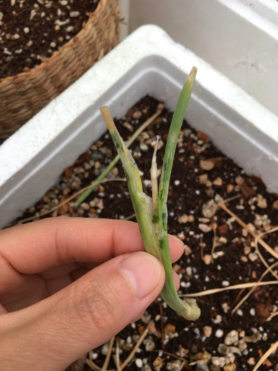 20210501_1217.JPG?type=w1