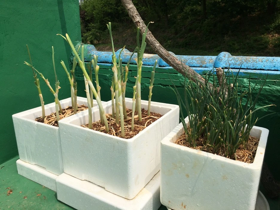 20210429_1193.JPG?type=w1