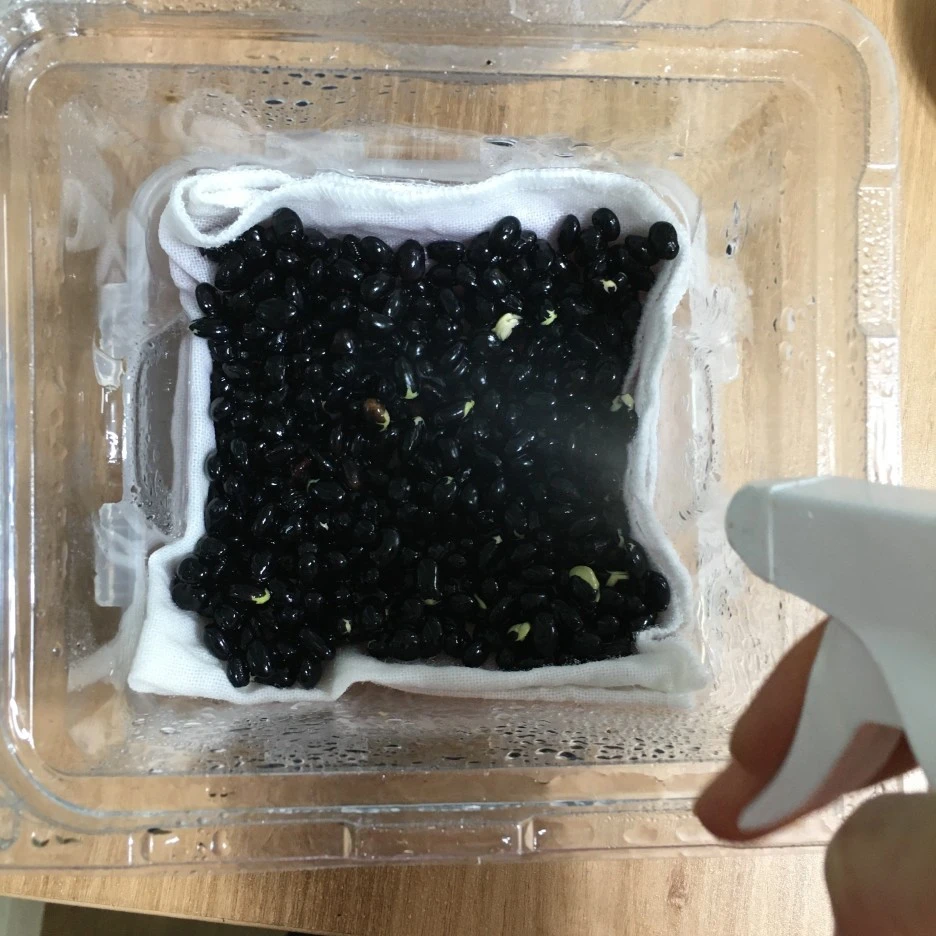 20210411_0946.JPG?type=w1