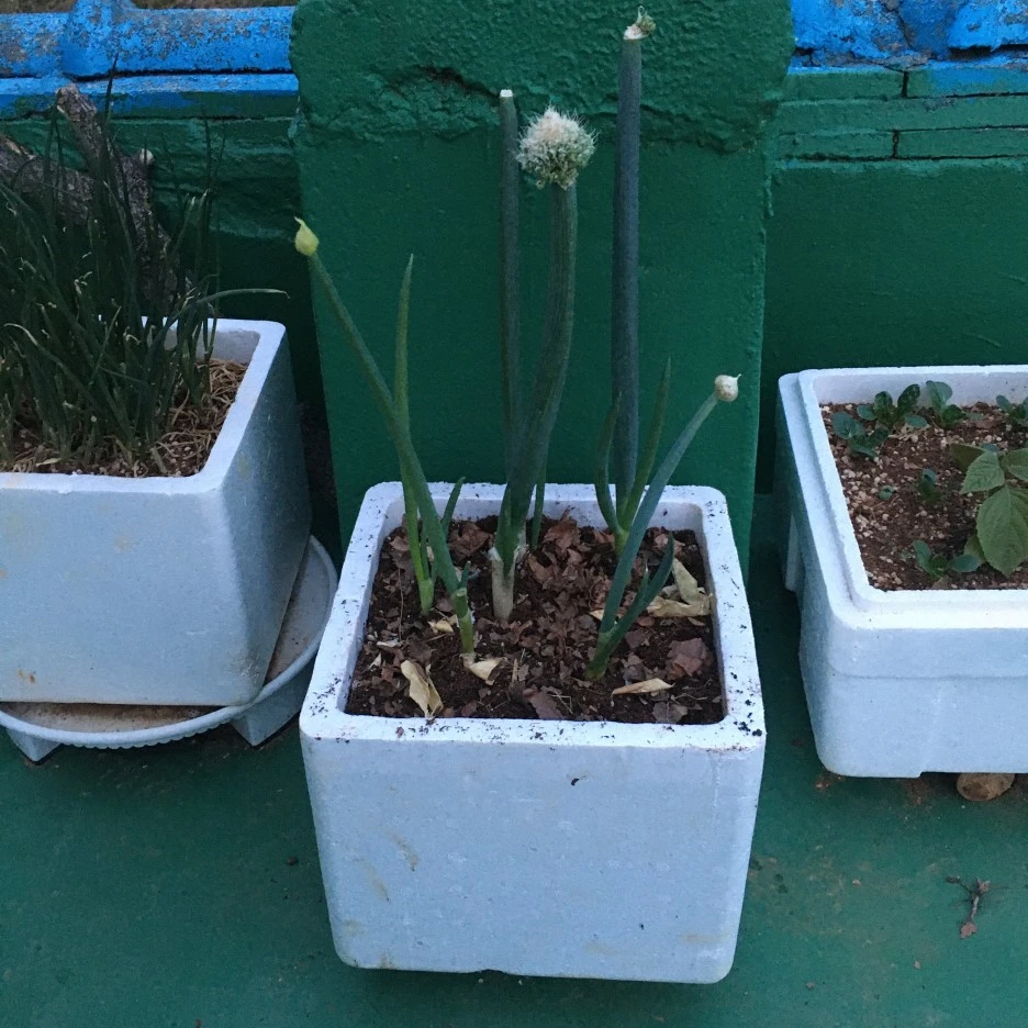 20210503_1294.JPG?type=w1