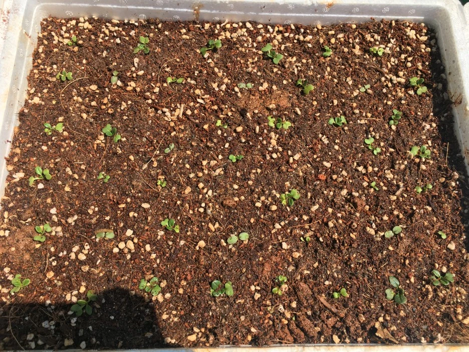 20210414_1040.JPG?type=w1