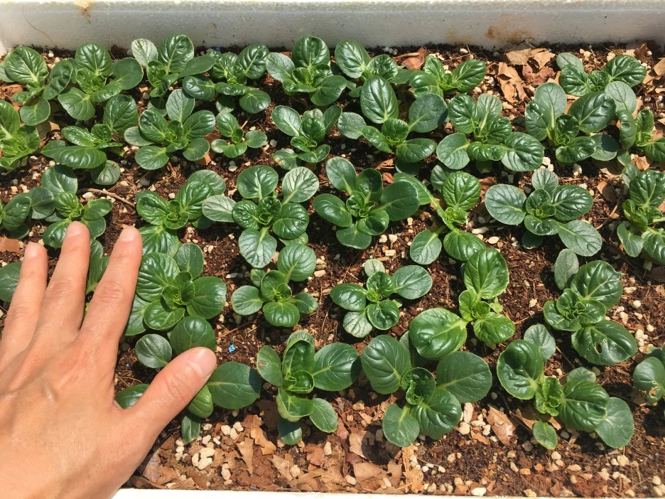 20210503_1268.JPG?type=w1