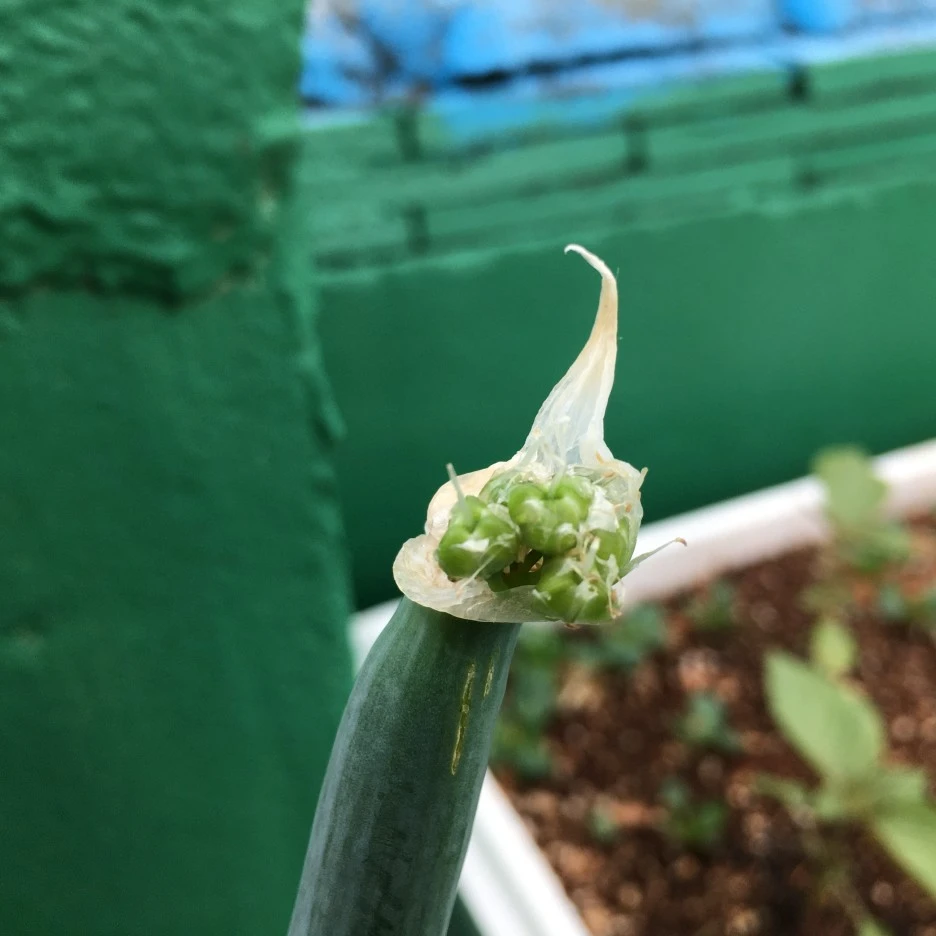 20210430_1213.JPG?type=w1