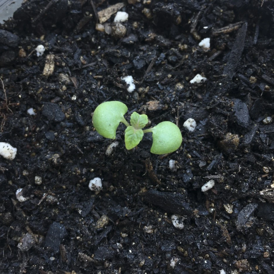 20210314_0189.jpg?type=w1