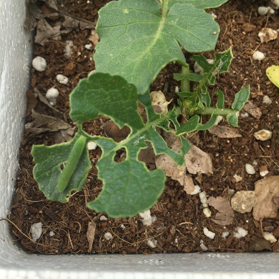 20210512_1427.JPG?type=w1