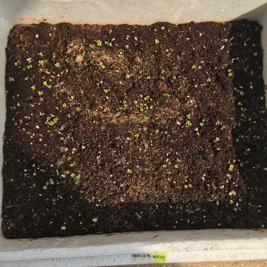 20210326_0339.JPG?type=w1