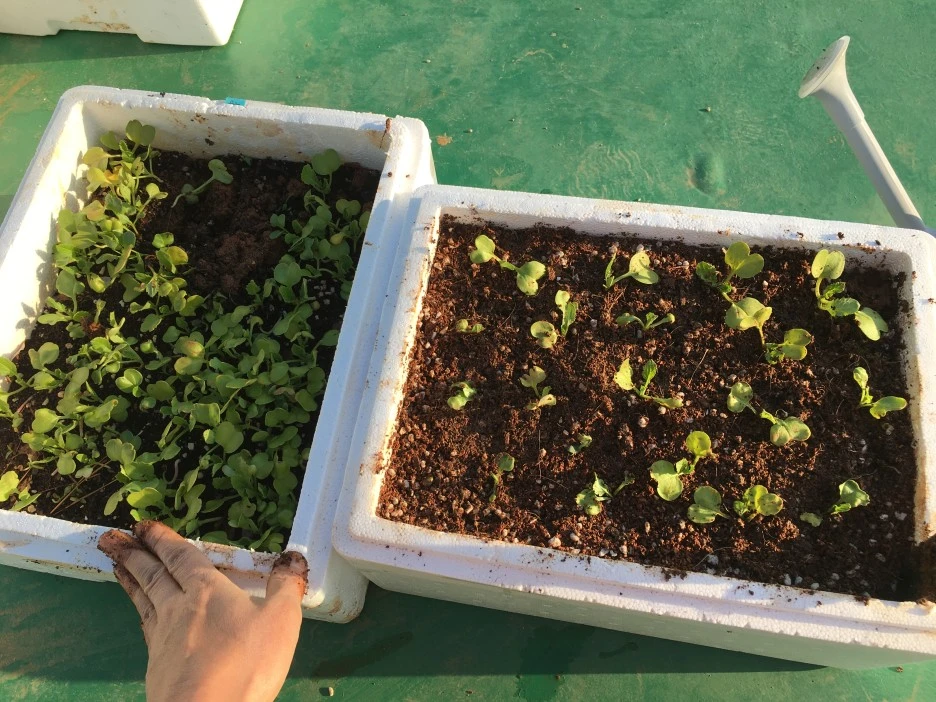 20210414_1071.JPG?type=w1