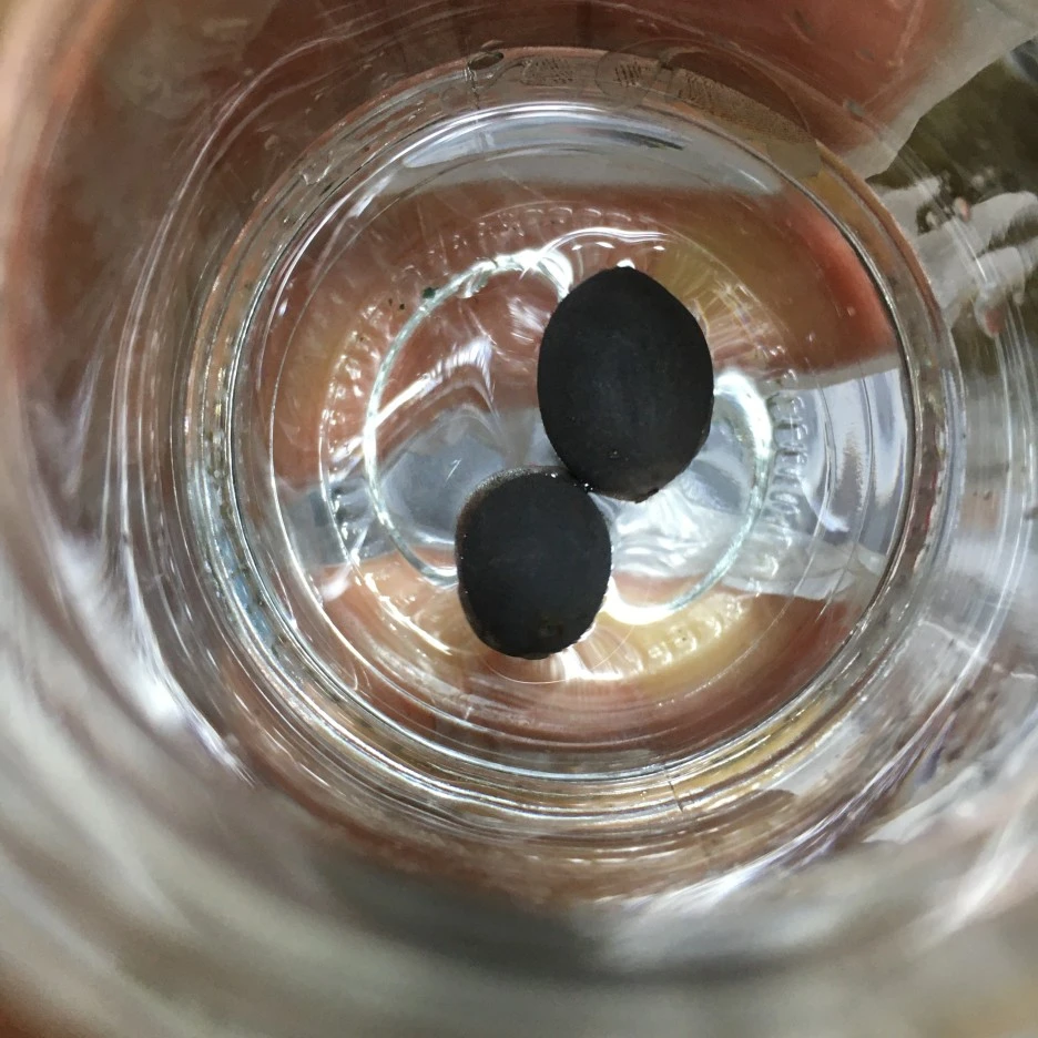 20210408_0609.JPG?type=w1