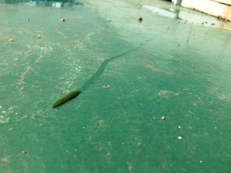 20210515_1532.JPG?type=w1