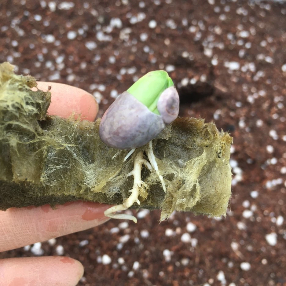 20210423_0990.JPG?type=w1