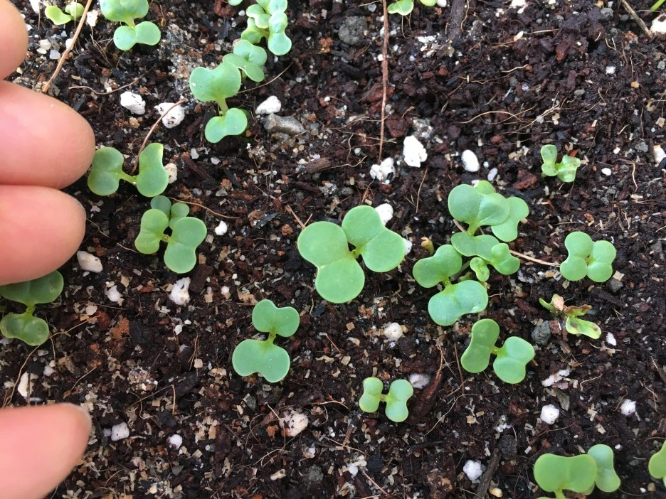 20210331_0423.JPG?type=w1