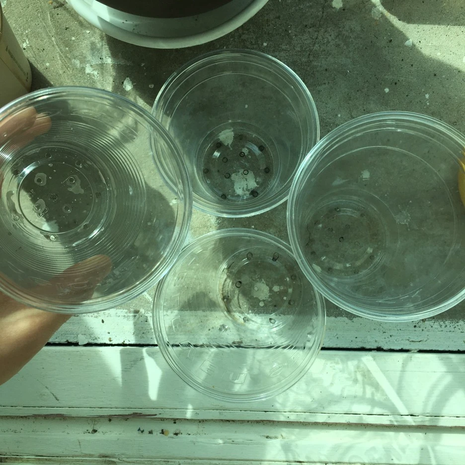 20210401_0456.JPG?type=w1