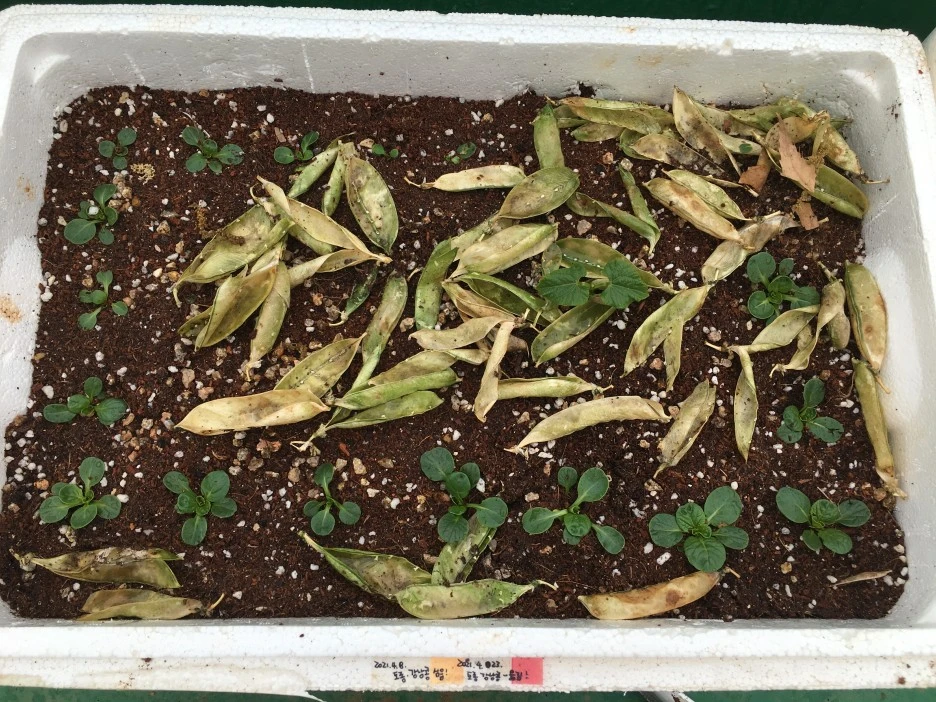 20210427_1121.JPG?type=w1