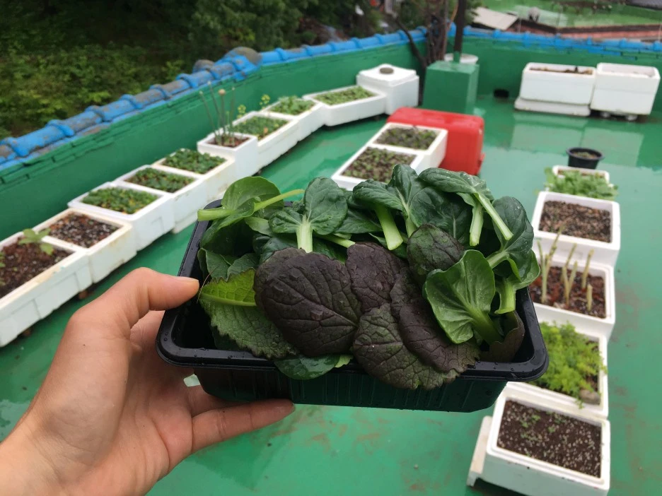 20210516_1580.JPG?type=w1