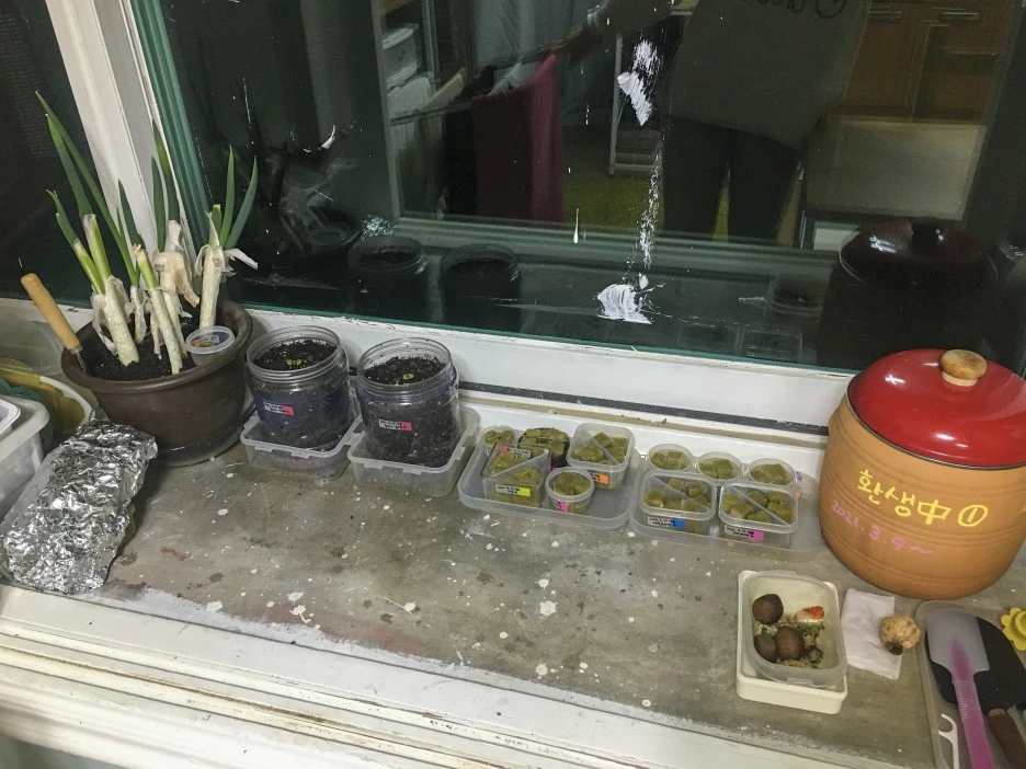 20210310_0167.jpg?type=w1