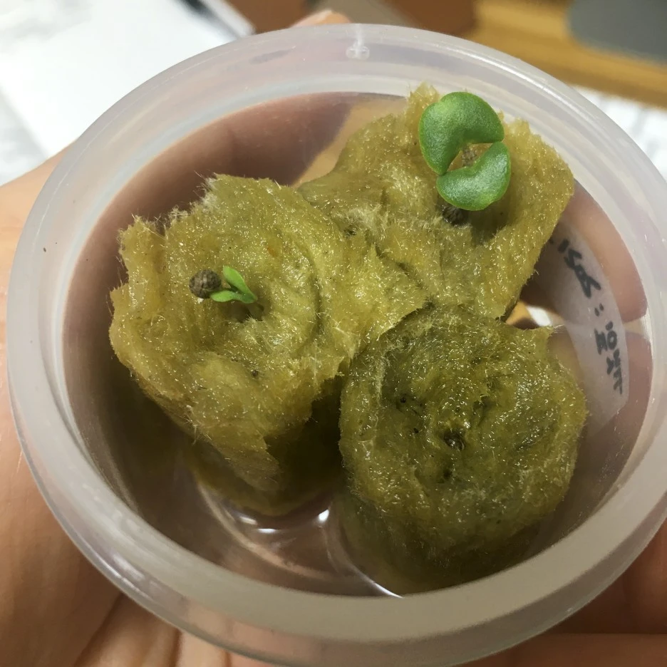 20210304_0074.jpg?type=w1