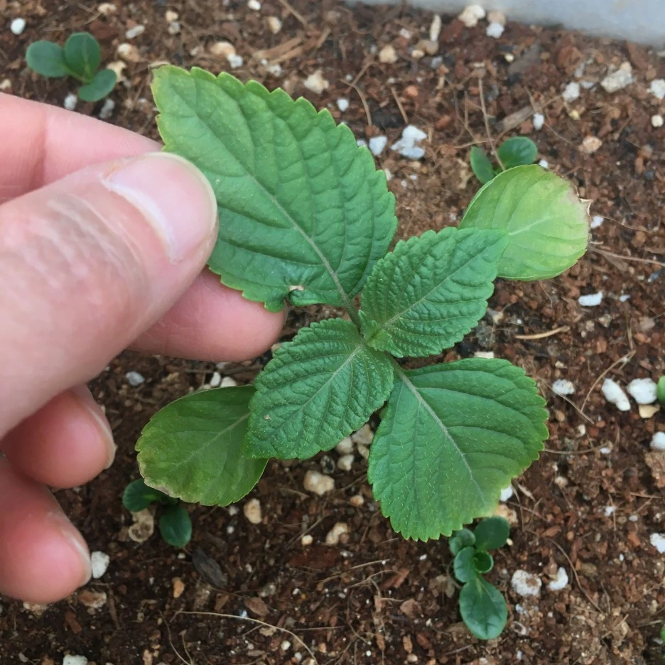 20210422_0943.JPG?type=w1