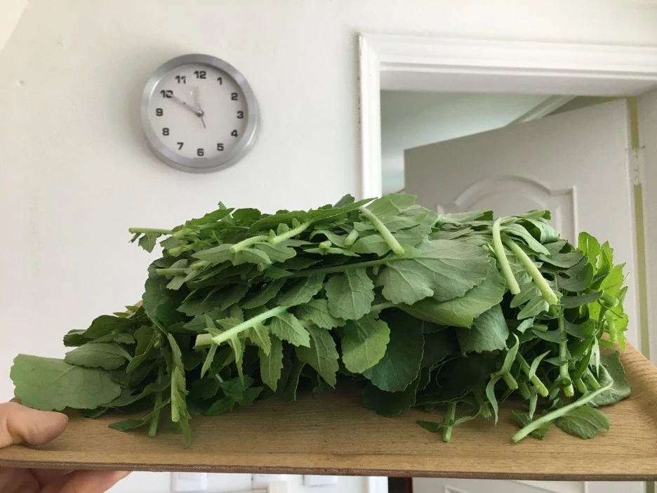 20210518_1643.JPG?type=w1