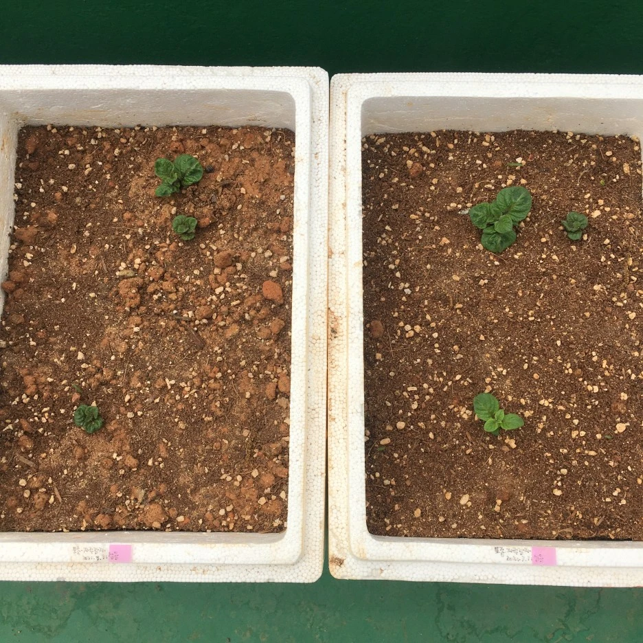 20210424_1020.JPG?type=w1