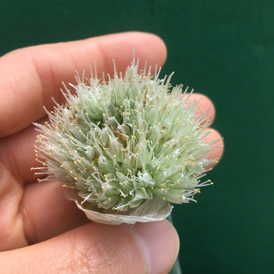 20210418_2828.JPG?type=w1