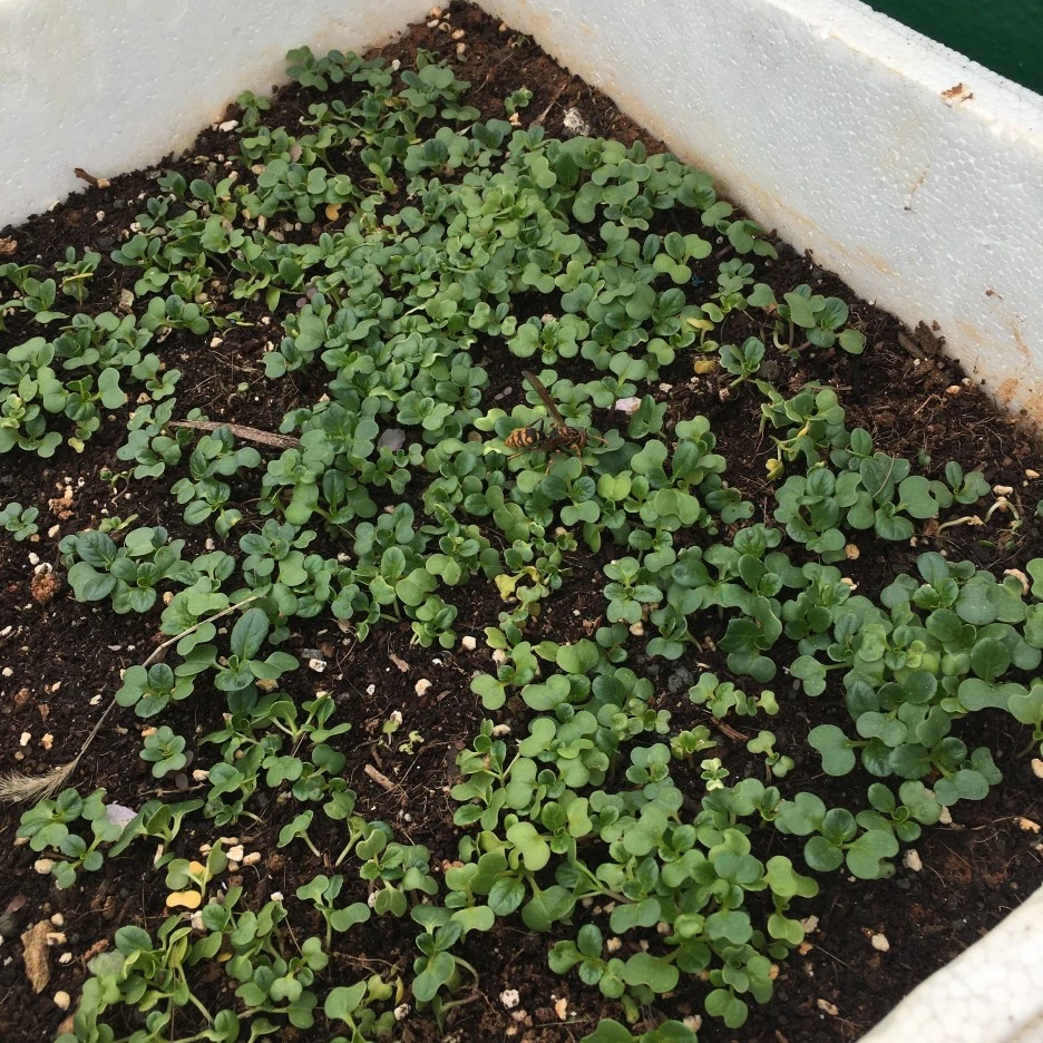 20210412_0973.JPG?type=w1