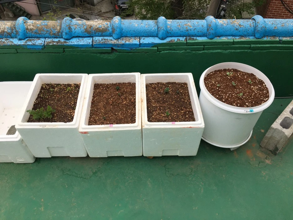 20210423_1005.JPG?type=w1