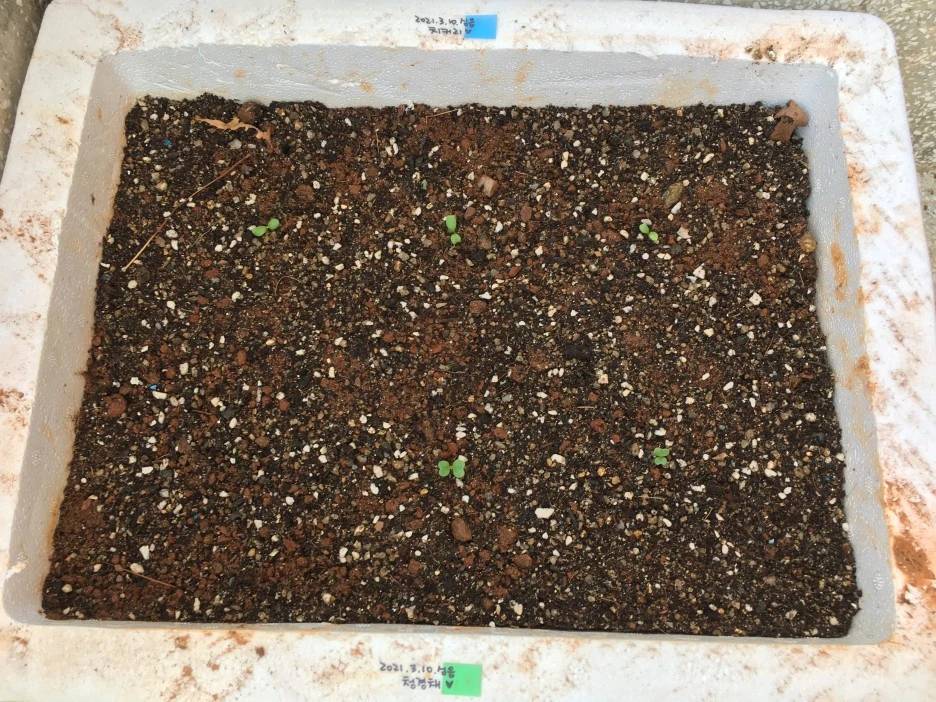 20210331_0426.JPG?type=w1