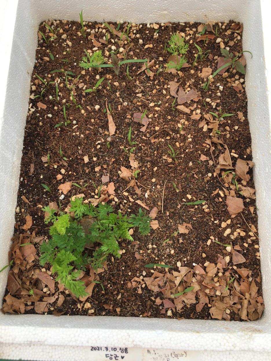 20210427_1115.JPG?type=w1