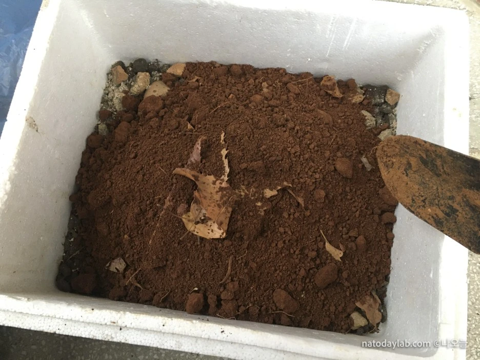 20210321--%EB%82%A0%EC%A7%9C-9.jpg?type=w1