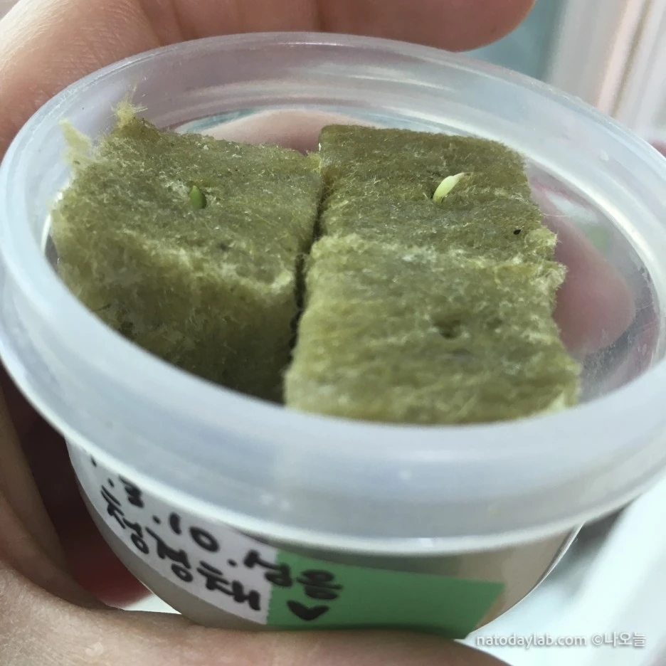 20210320--%EB%82%A0%EC%A7%9C-10.jpg?type=w1