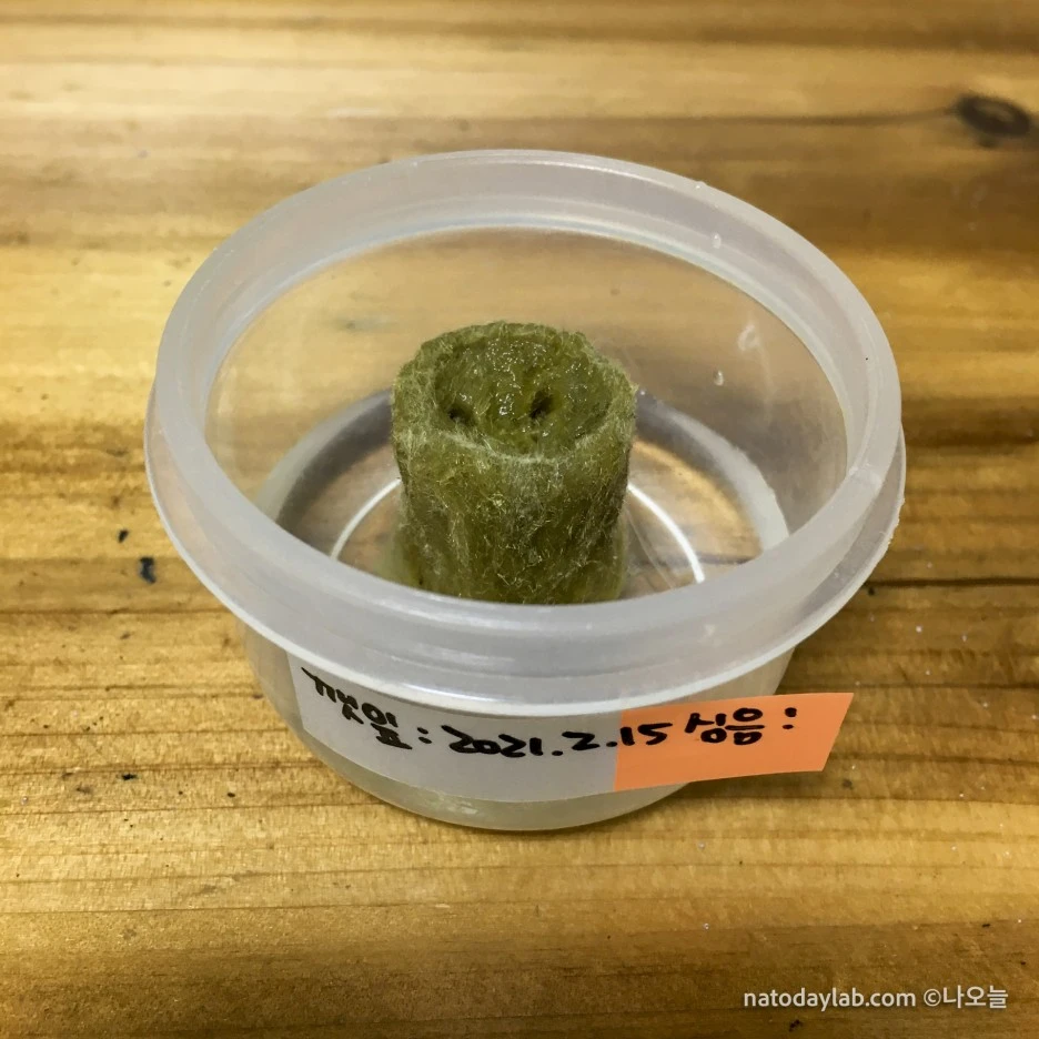 20210215--6.jpg?type=w1