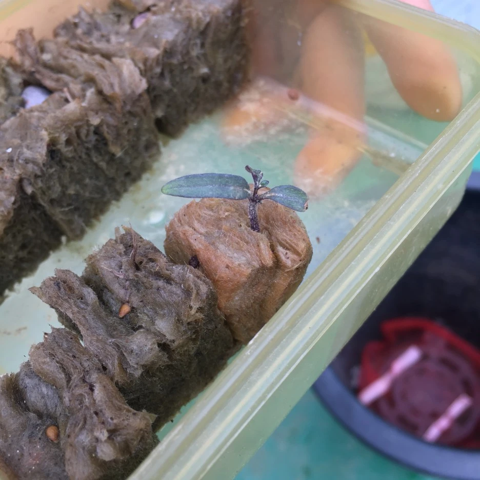 20210423_0999.JPG?type=w1