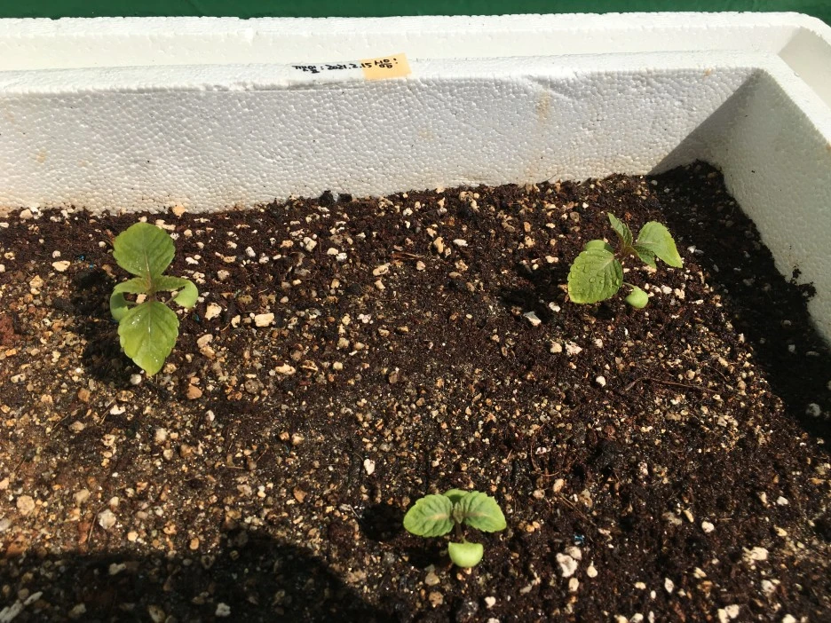 20210408_0574.JPG?type=w1