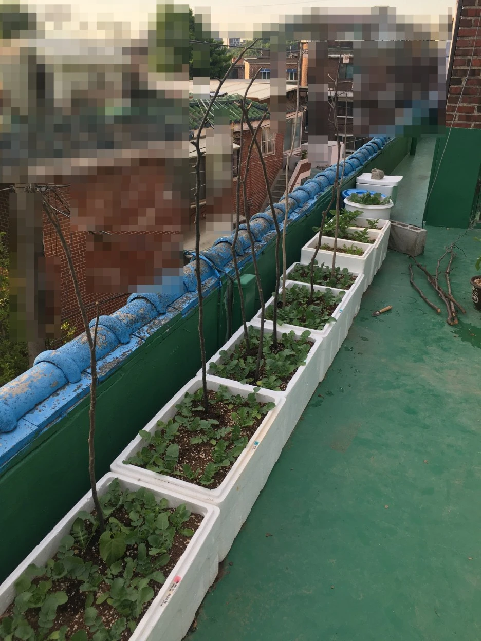 SE-93706726-aec3-4082-99f2-53cd32192725.jpg?type=w1