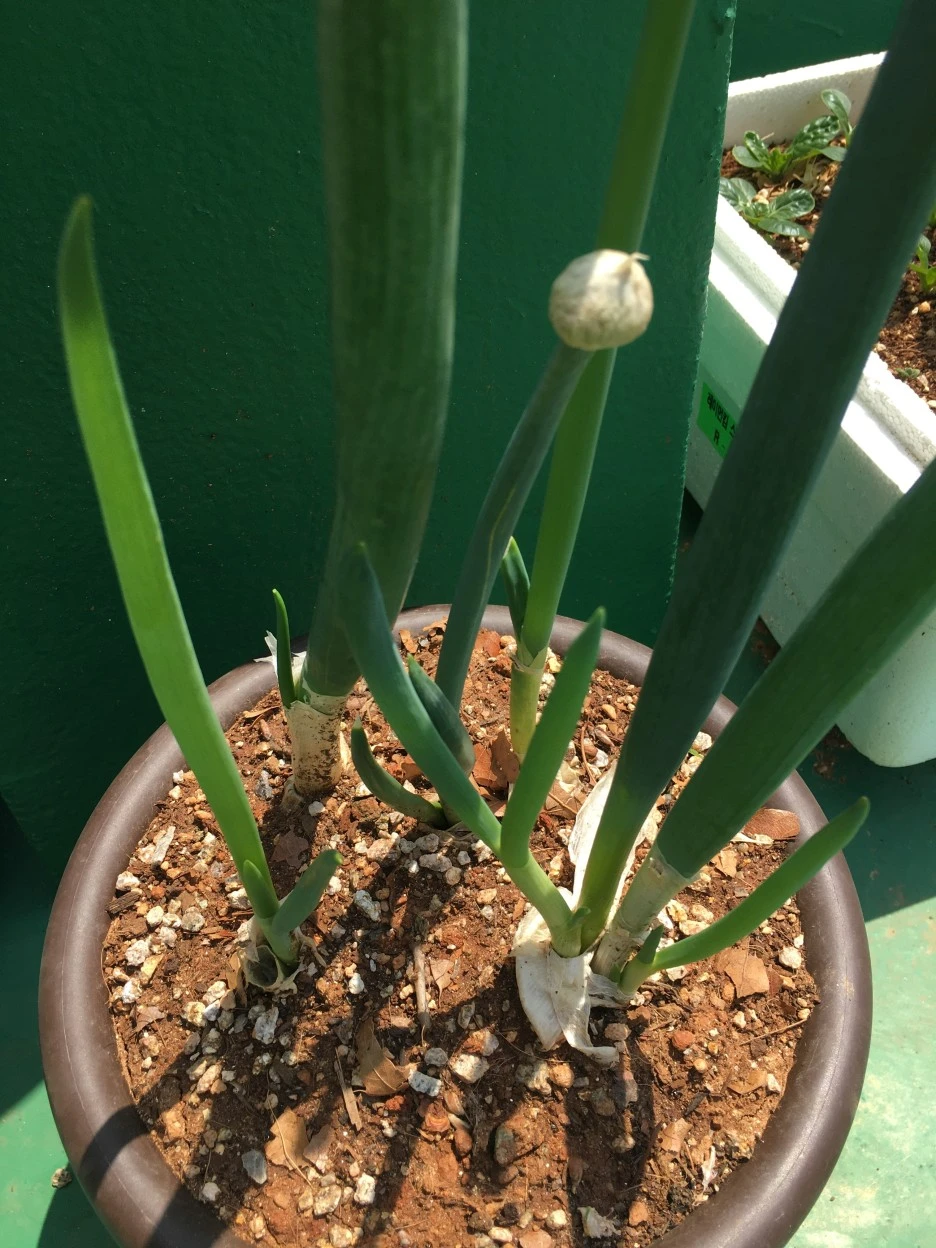 20210503_1272.JPG?type=w1