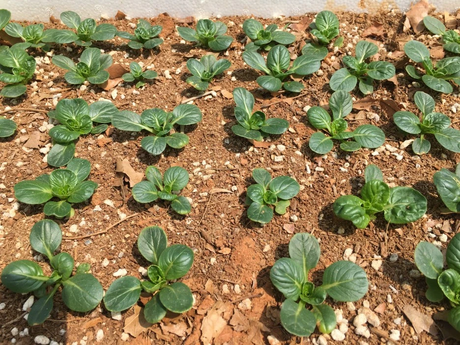 20210429_1195.JPG?type=w1