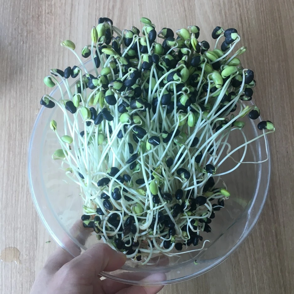 20210422_0934.JPG?type=w1