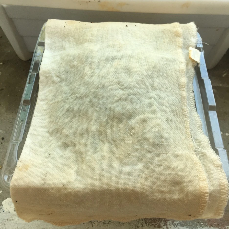 20210420_2868.JPG?type=w1