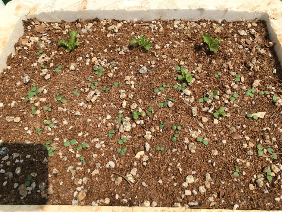 20210429_1198.JPG?type=w1