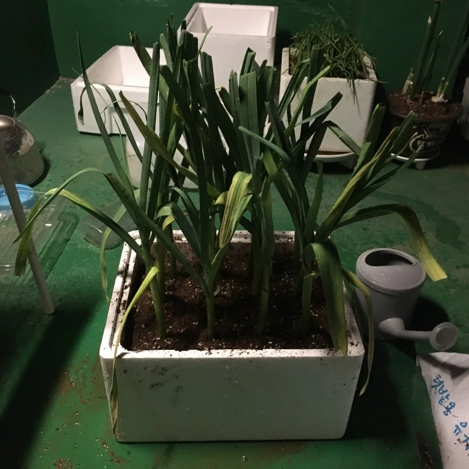 20210418_2850.JPG?type=w1