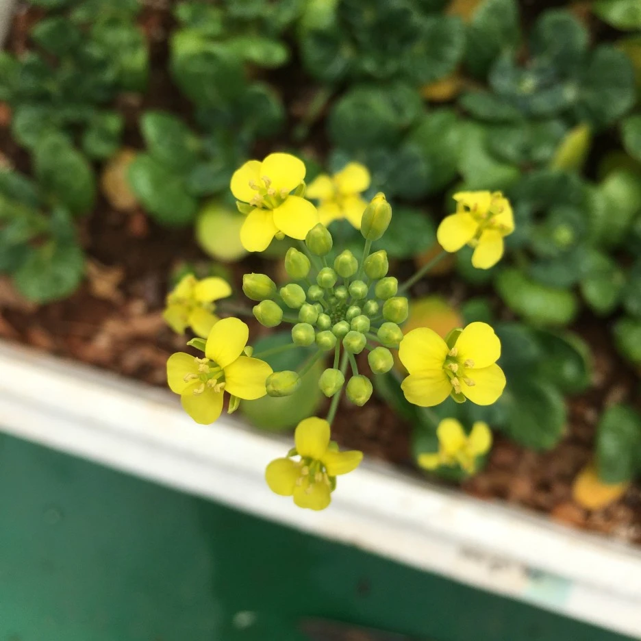 20210515_1559.JPG?type=w1