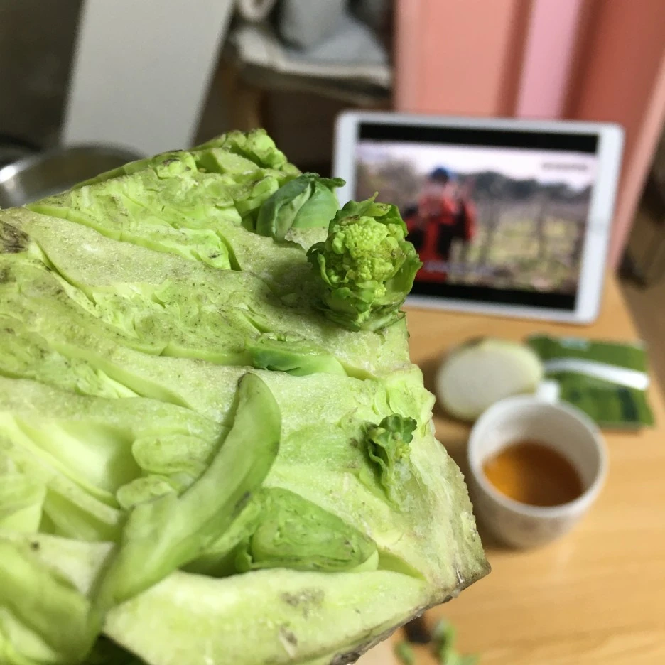 20210425_1070.JPG?type=w1