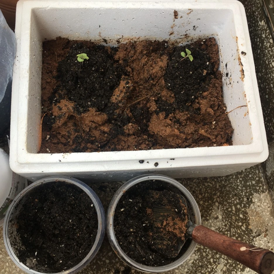 20210325_0309.JPG?type=w1