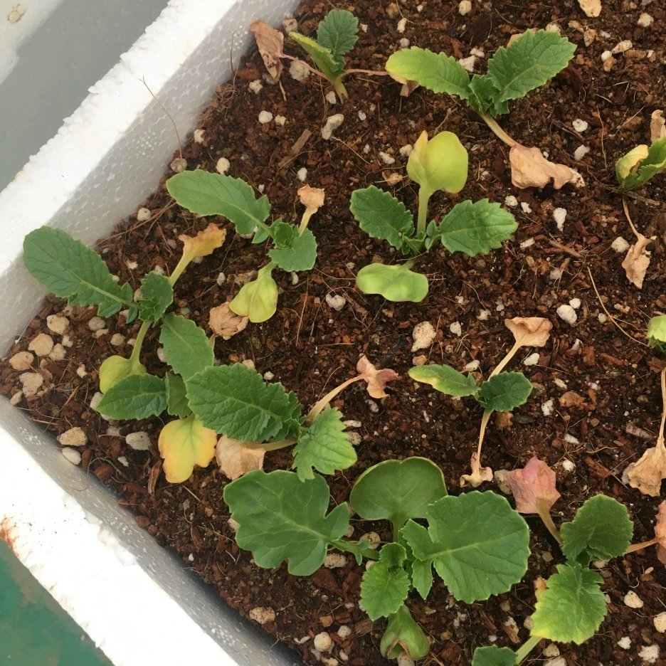 20210422_0950.JPG?type=w1